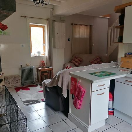 Le Petit Verger, 1 Impasse De La Fenouillere 61330 Céaucé Eksteriør bilde
