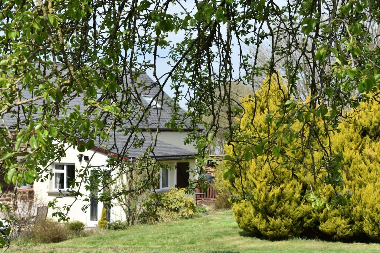 Le Petit Verger, 1 Impasse De La Fenouillere 61330 Céaucé Eksteriør bilde